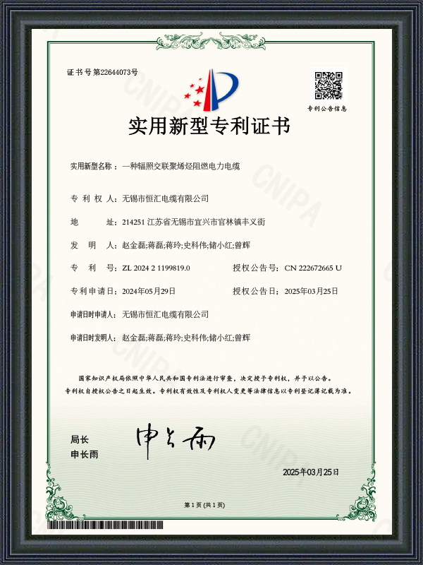 Gebrauchsmuster-Patentzertifikat